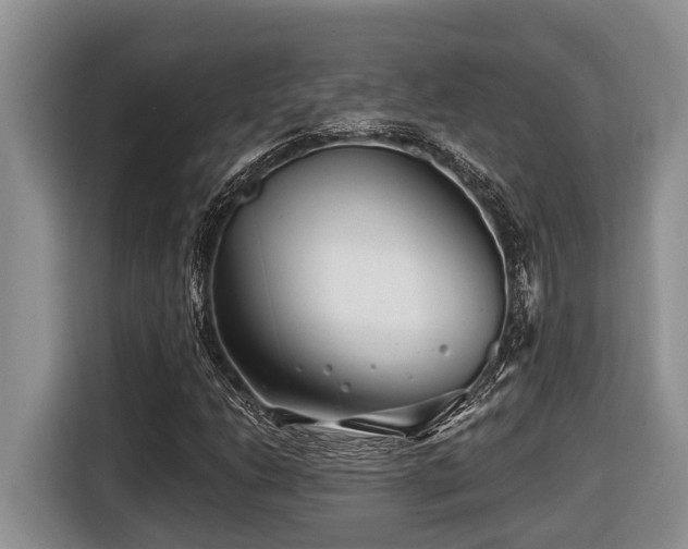 X0000116671206200912141334