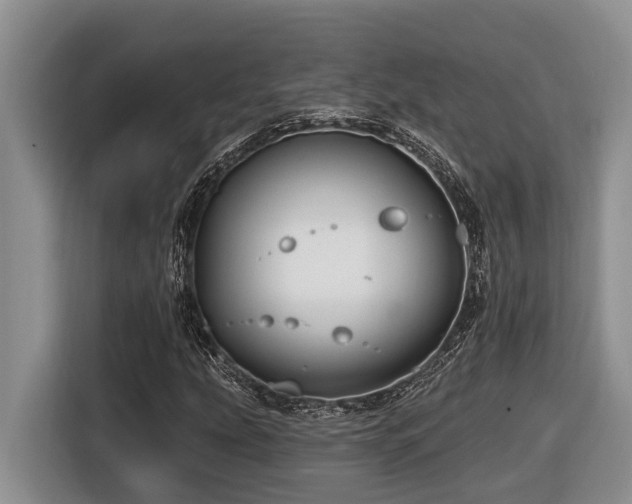 X0000116671207200912141334