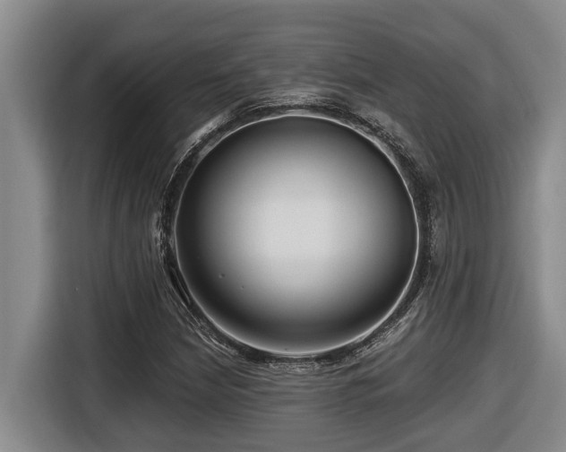 X0000116671210200912141334