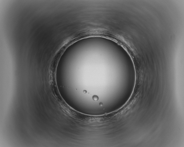 X0000116671211200912141334