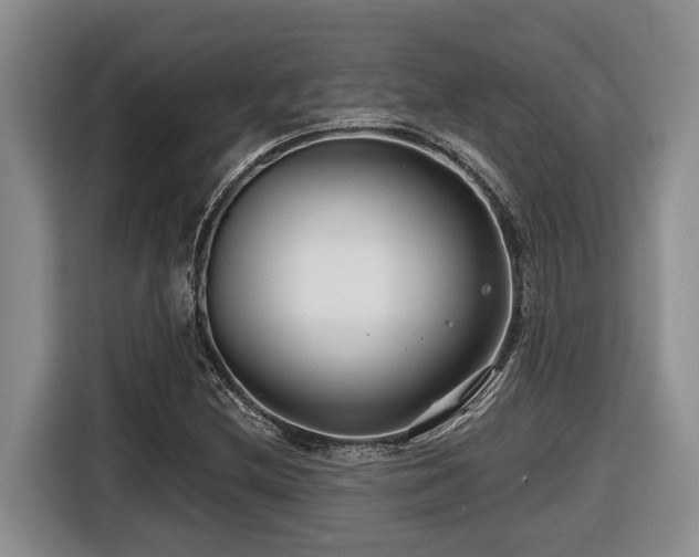 X0000116671212200912141334