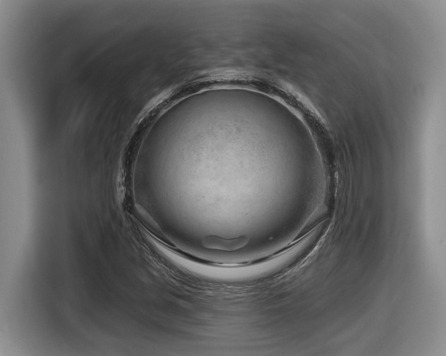 X0000116671213200912141334