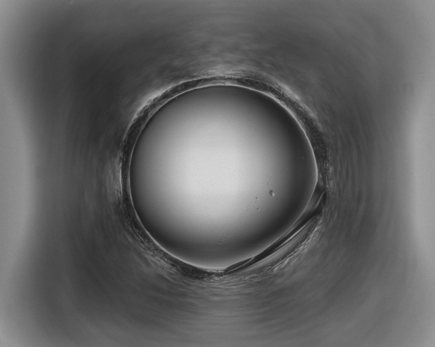 X0000116671214200912141334