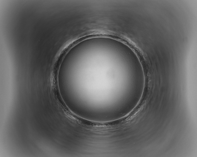 X0000116671215200912141334