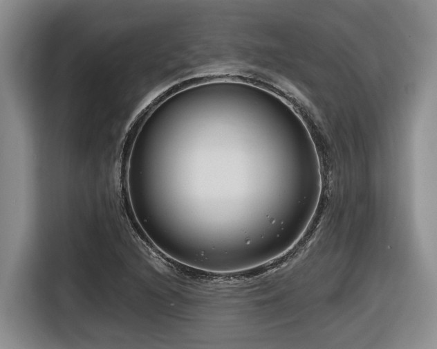 X0000116671216200912141334