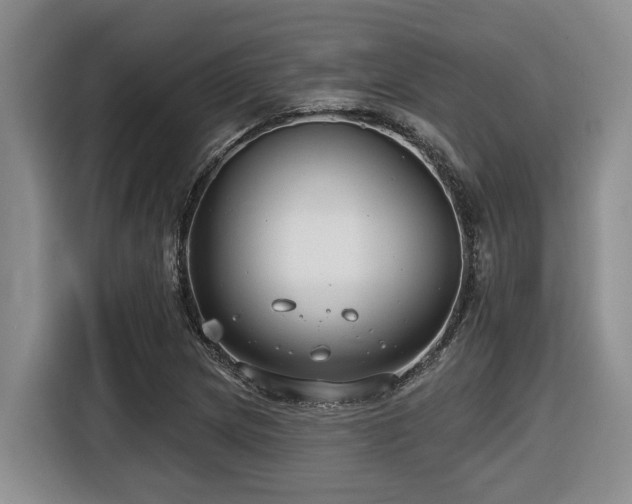 X0000116671217200912141334