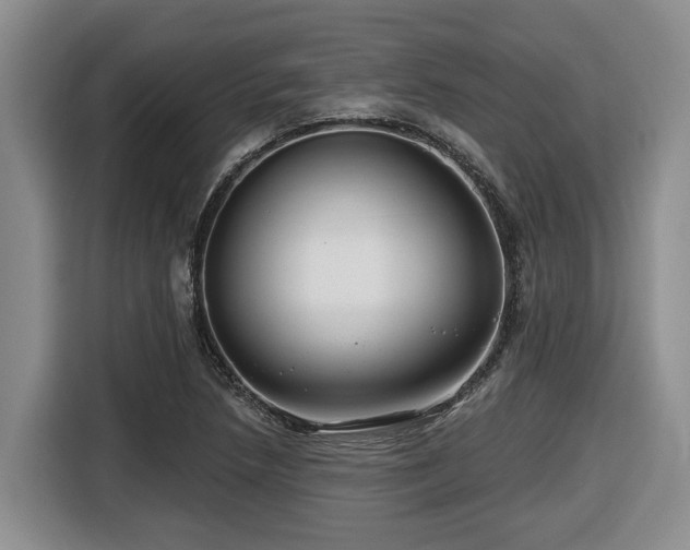 X0000116671218200912141334