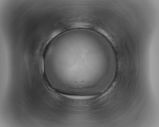 X0000116671219200912141334