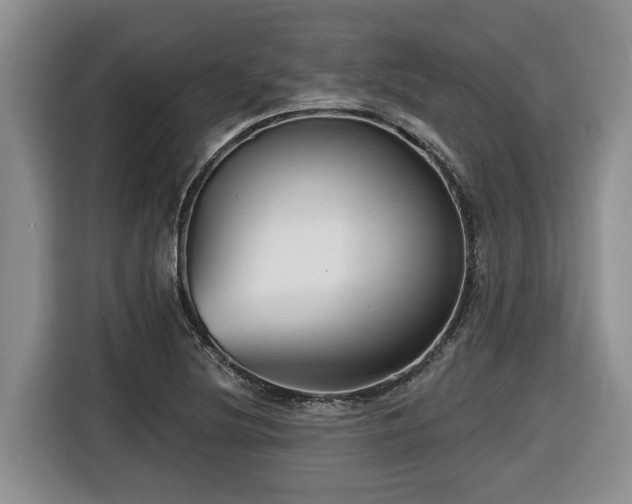 X0000116671220200912141334