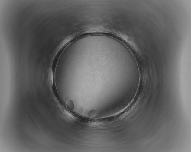 X0000116671221200912141334