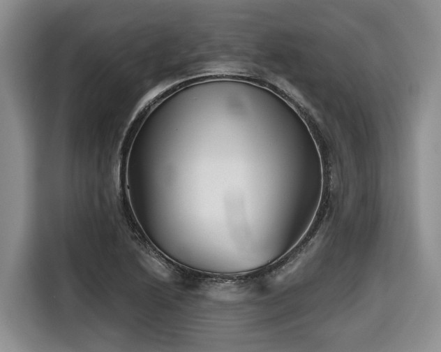 X0000116671222200912141334