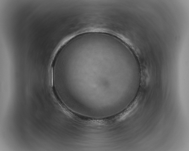 X0000116671223200912141334