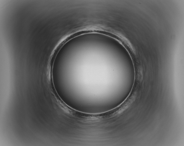 X0000116671224200912141334