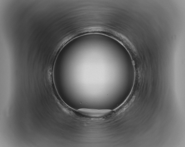 X0000116671225200912141334