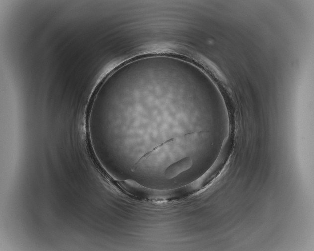 X0000116671226200912141334