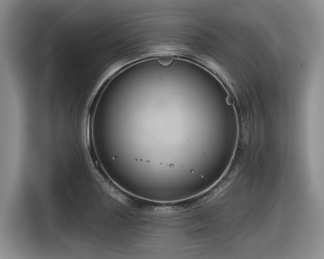 X0000116671227200912141334