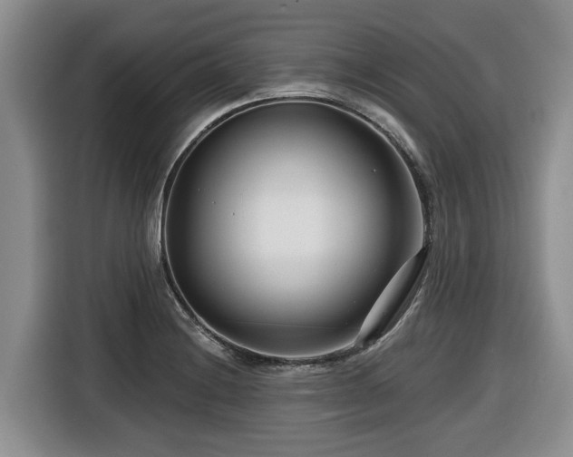 X0000116671228200912141334