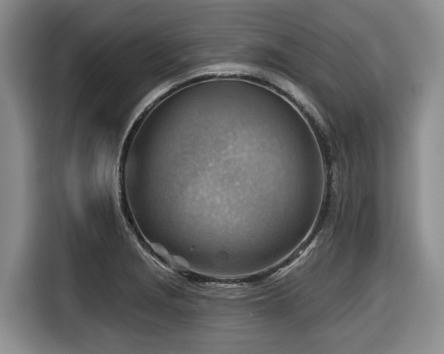 X0000116671229200912141334