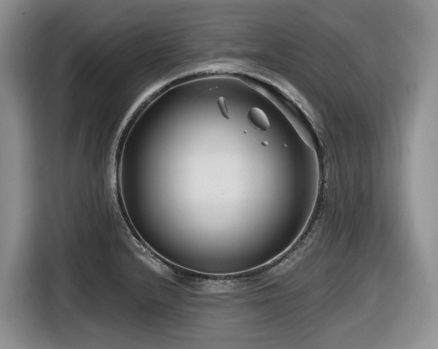 X0000116671232200912141334