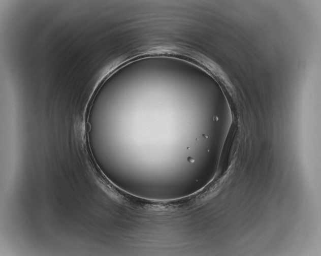 X0000116671234200912141334