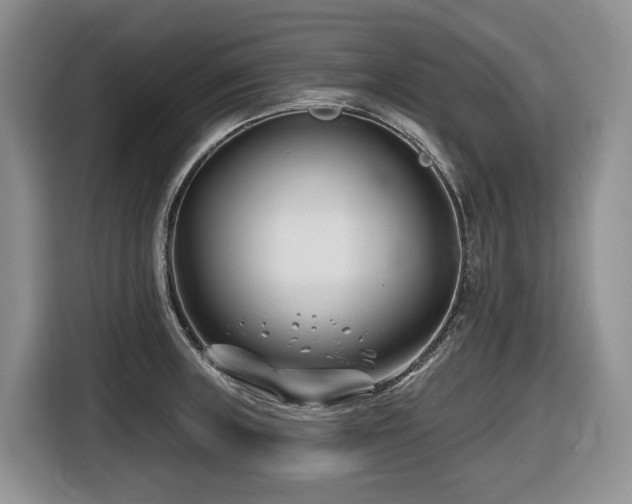 X0000116671235200912141334