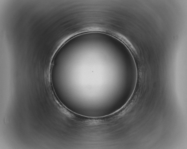 X0000116671236200912141334