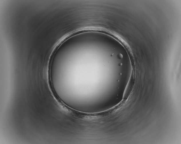 X0000116671237200912141334