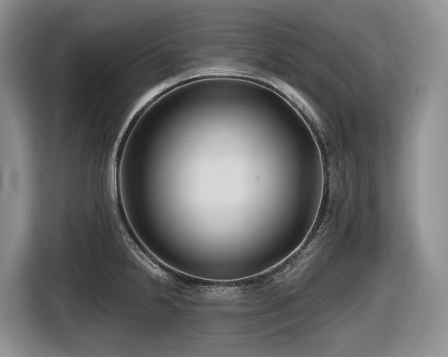 X0000116671238200912141334