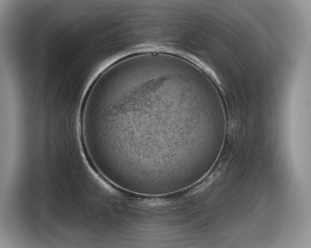 X0000116671239200912141334