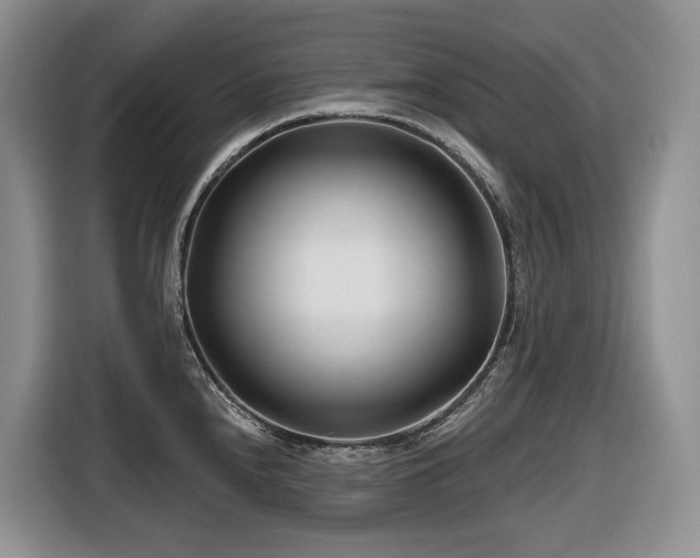 X0000116671240200912141334