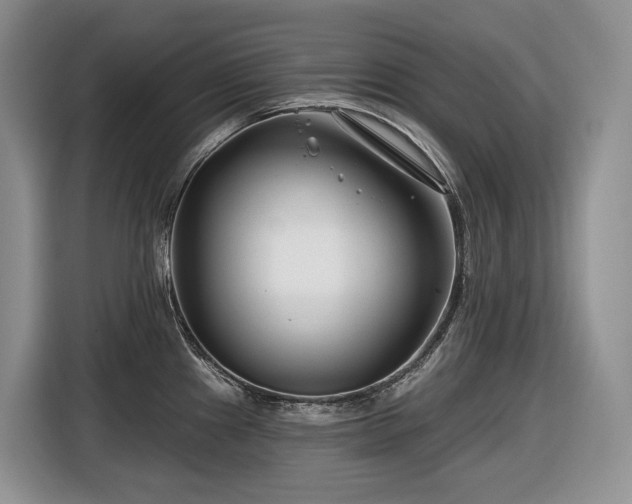 X0000116671241200912141334