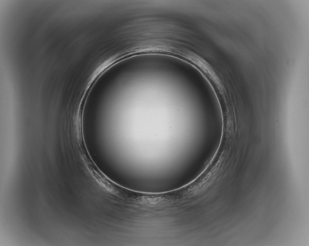 X0000116671242200912141334