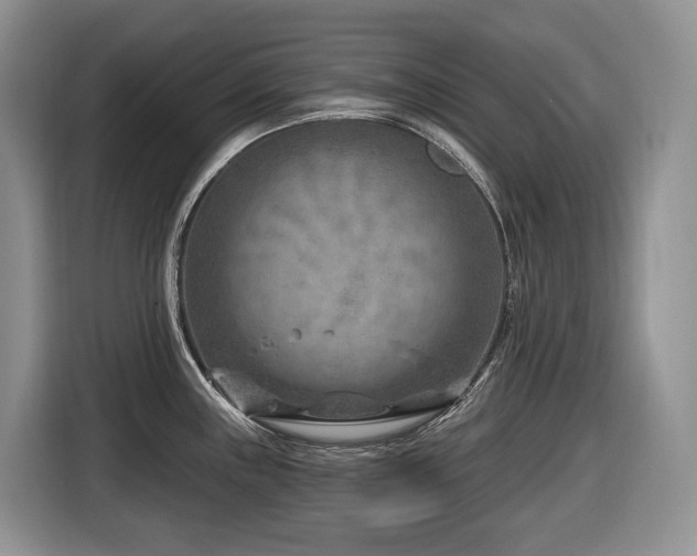 X0000116671243200912141334