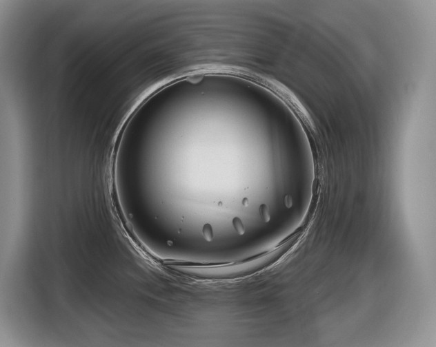 X0000116671244200912141334