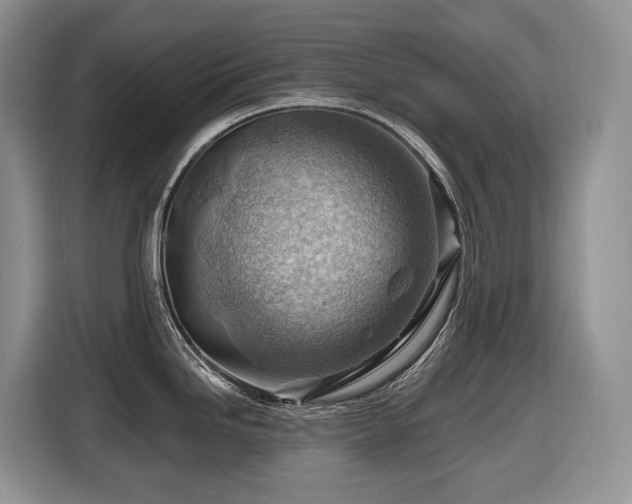 X0000116671246200912141334