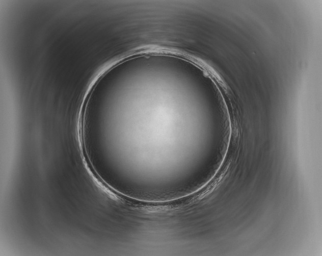 X0000116671247200912141334