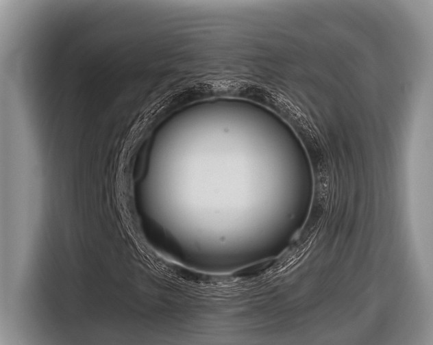 X0000116671249200912141333