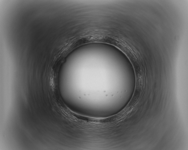 X0000116671250200912141333