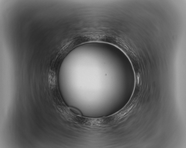 X0000116671251200912141333