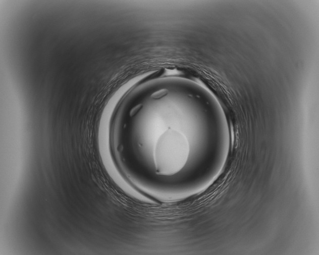 X0000116671252200912141333