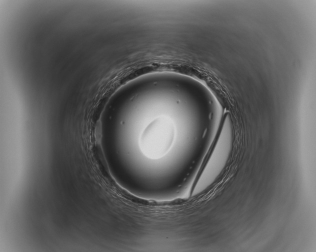 X0000116671253200912141333