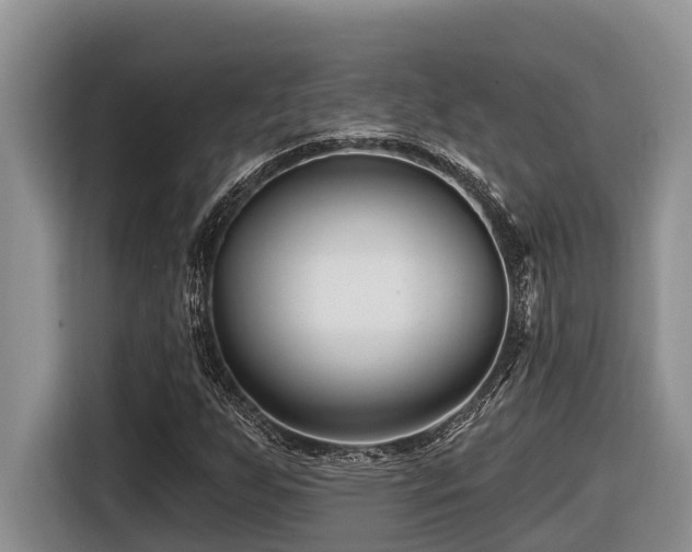 X0000116671255200912141333