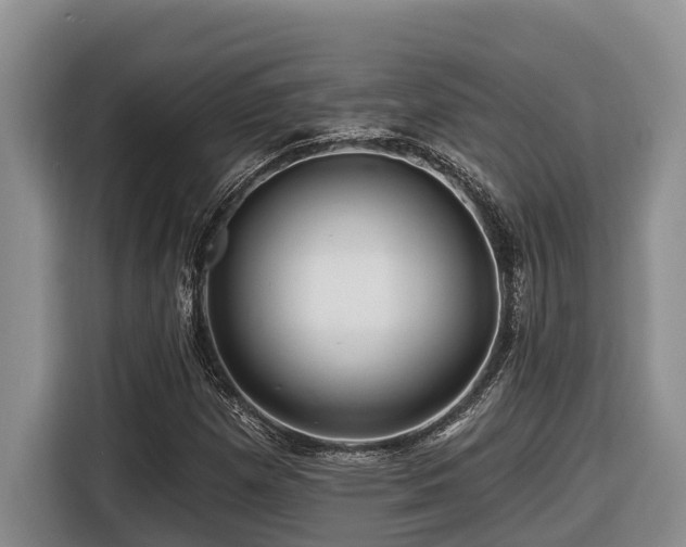 X0000116671257200912141333