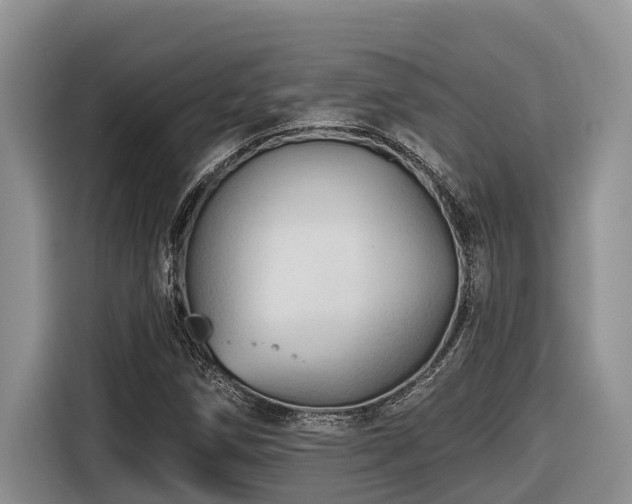 X0000116671258200912141333