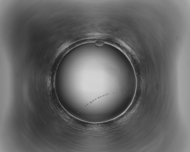 X0000116671259200912141333