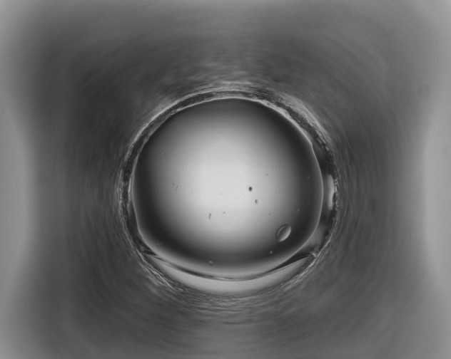 X0000116671260200912141333