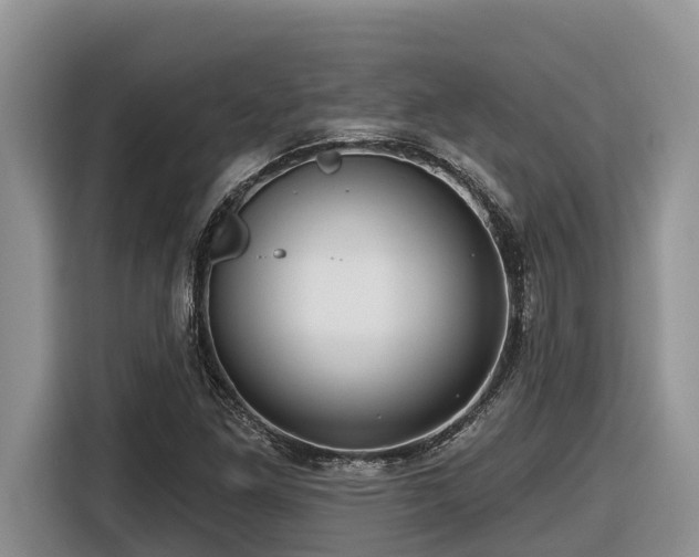 X0000116671261200912141333