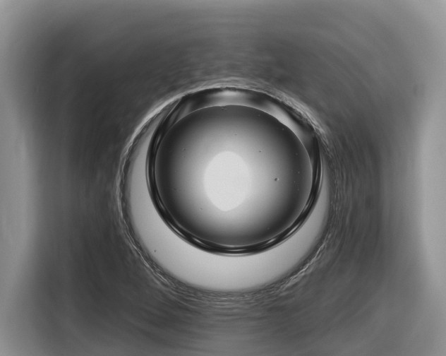 X0000116671264200912141333