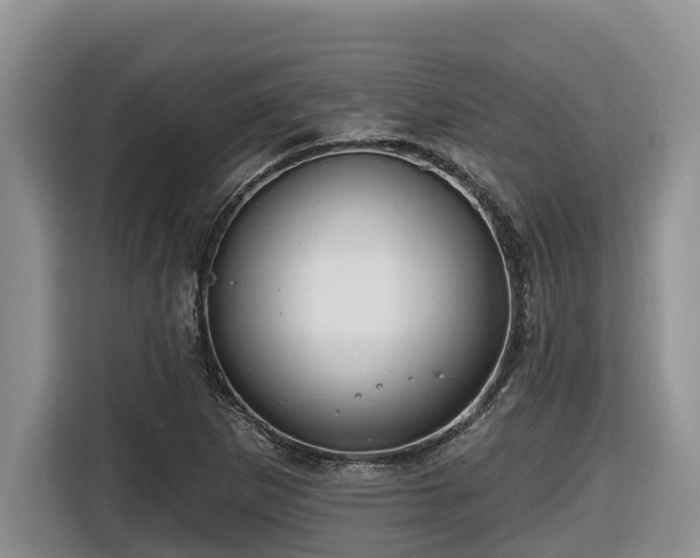 X0000116671265200912141333