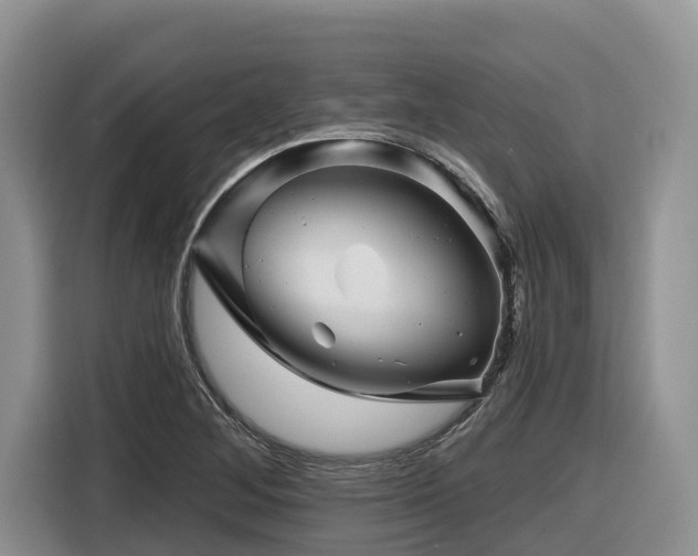 X0000116671268200912141333